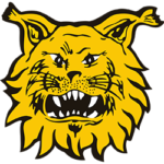 Ilves