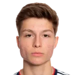 Esmir Bajraktarevic